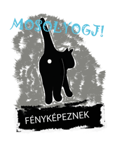 Mosogj fenyképeznek