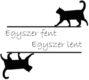 Egyszer fent egyszer lent