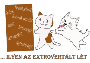 Ilyen az extrovertált lét